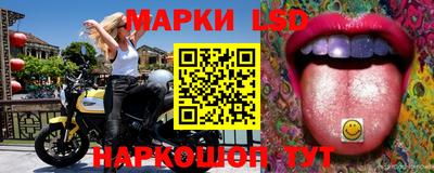 mdpv Гатчина