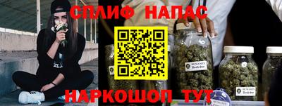 mdpv Гатчина