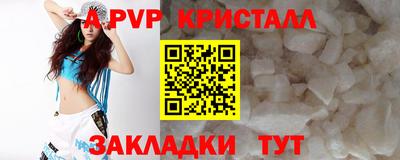 амф Гай