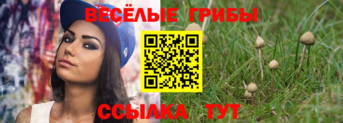 Тверь  Псилоцибиновые грибы Cubensis  Вход с VPN  Галлюциногенные грибы ЛСД 